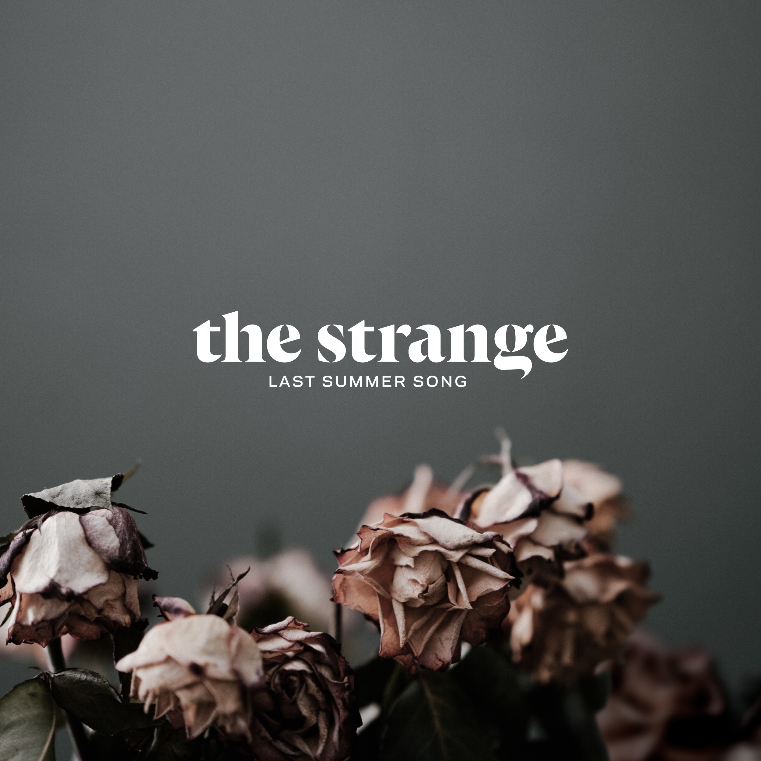 Trenutno pregledavate The Strange najavili izlazak novog singla i albuma