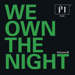 V.A. – P1 CLUB VOL.6-WE OWE THE NIGHT  CD2