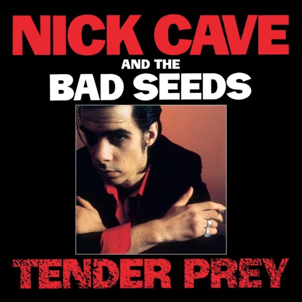 CAVE NICK – TENDER PREY LP