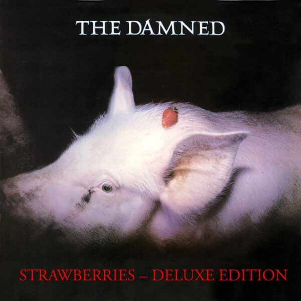 DAMNED – STRAWBERRIES LP