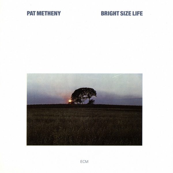 METHENY PAT – BRIGHT SIZE LIFE CD