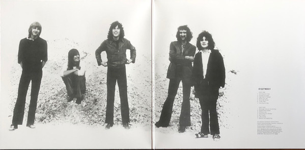 FLEETWOOD MAC – THEN PLAY ON LP (Reissue, Stereo, Gatefold, 180 Gram)