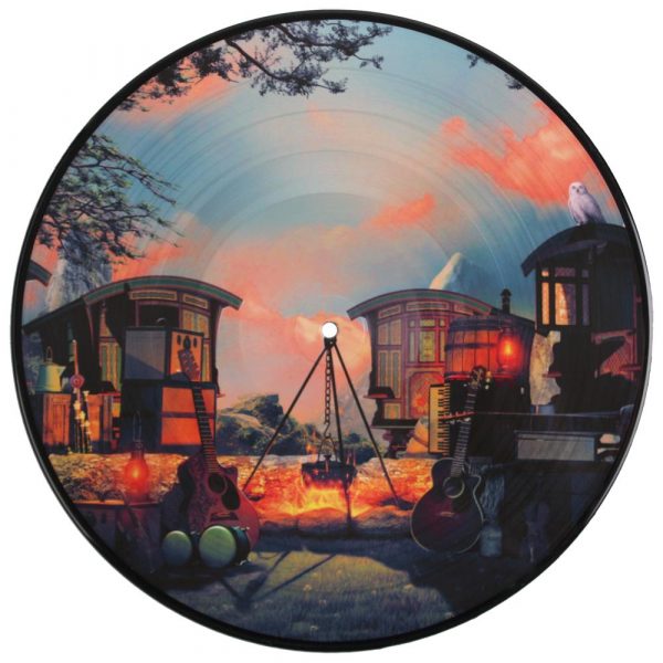 NIGHTWISH – ENDLESS FORMS MOST BEAUTIFUL-picture disc…LP2