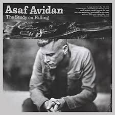 AVIDAN ASAF – STUDY OF FALLING