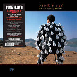 PINK FLOYD - DELICATE SOUND OF THUNDER...LP2