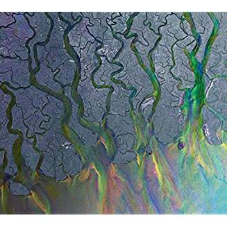 ALT-J – AN AWESOME WAVE…LP