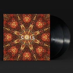 COIL – STOLEN & CONTAMINATED SONGS LP2