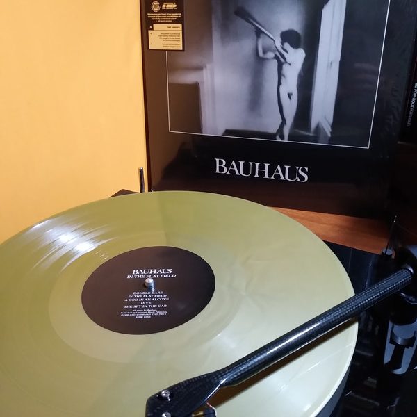 BAUHAUS – IN THE FLAT FIELD 40 anniversary bronze vinyl…LP