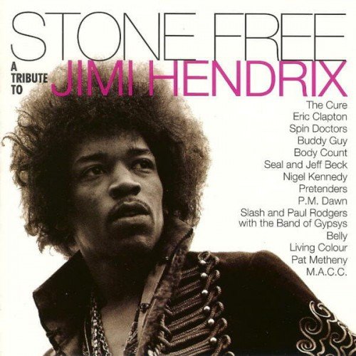 V.A. – STONE FREE-TRIBUTE TO JIMI HENDRIX clear/black vinyl  RSDLP2