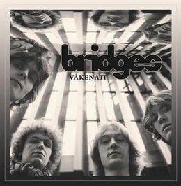 BRIDGES – VAKENATT CD