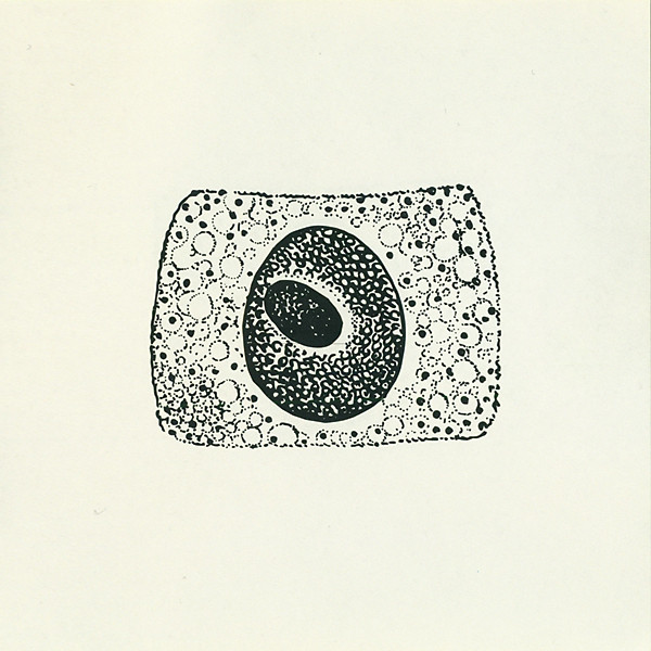COIL – PORTO CD