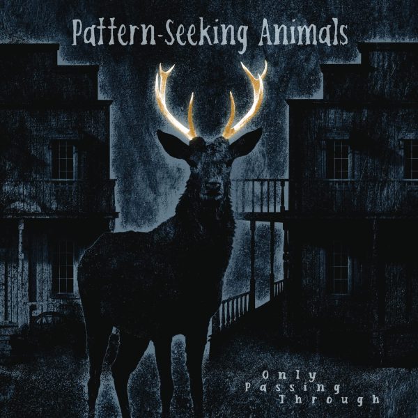 PATTERN-SEEKING ANIMALS – ONLY PASSING THROUGH CD