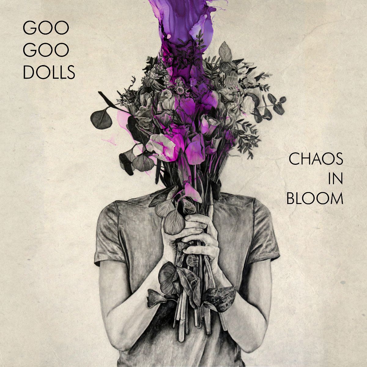 Read more about the article Novi album Goo Goo Dollsa u prodaji