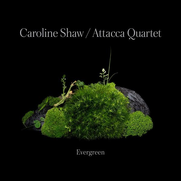 SHAW CAROLINE/ATTACCA QUARTET – EVERGREEN CD