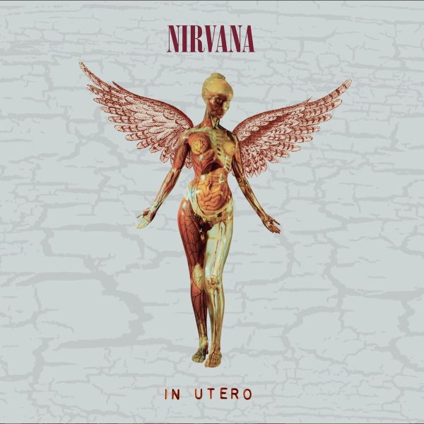 NIRVANA – IN UTERO 30th anniversary CD BOX (Super Deluxe 5CD)