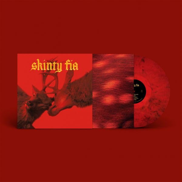 FONTAINES D.C. – SKINTY FIA red/black marbled vinyl LP