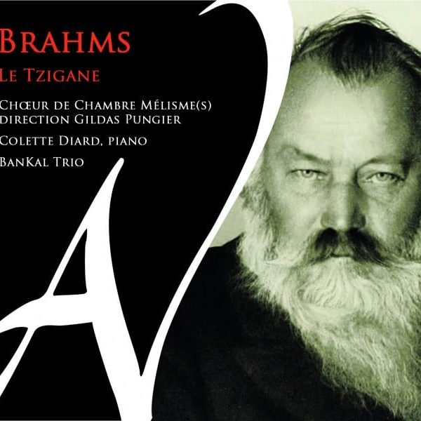 CHOEUR DE CHAMBRE – BRAHMS LE TZIGANE CD