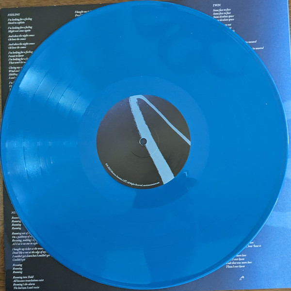 BANHART DEVENDRA – FLYING WIG ltd blue vinyl LP