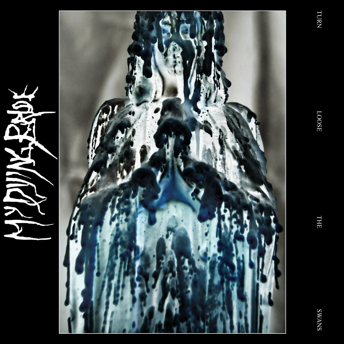 MY DYING BRIDE – TURN LOOSE THE SWANS LP