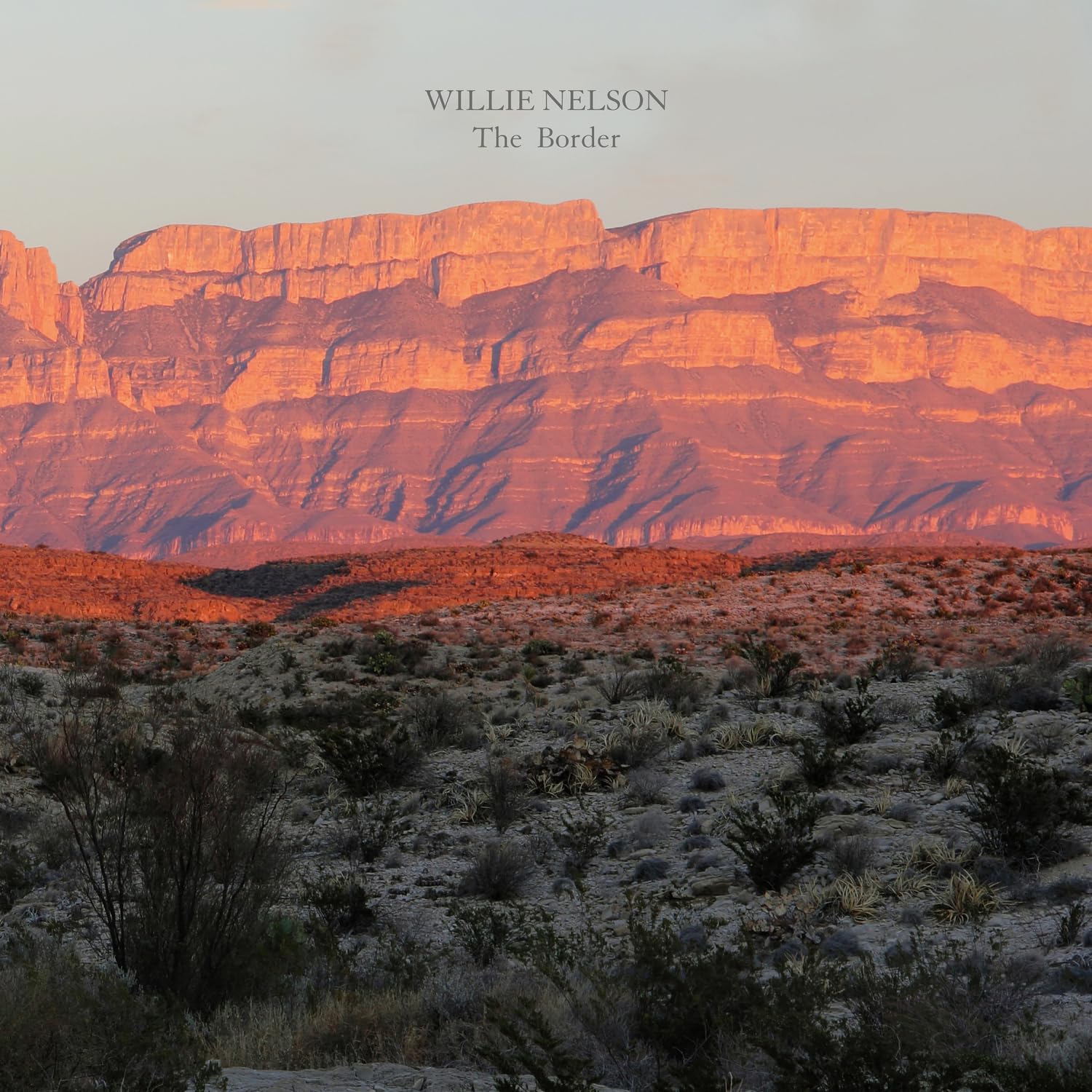 NELSON WILLIE – BORDER LP