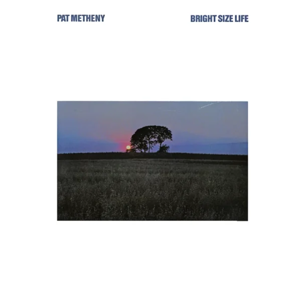 METHENY PAT – BRIGHT SIZE LIFE LP