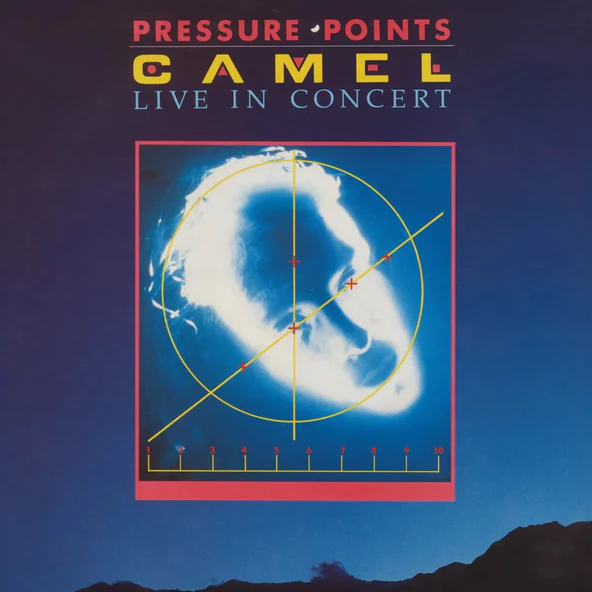 CAMEL – PRESSURE POINTS   CD3