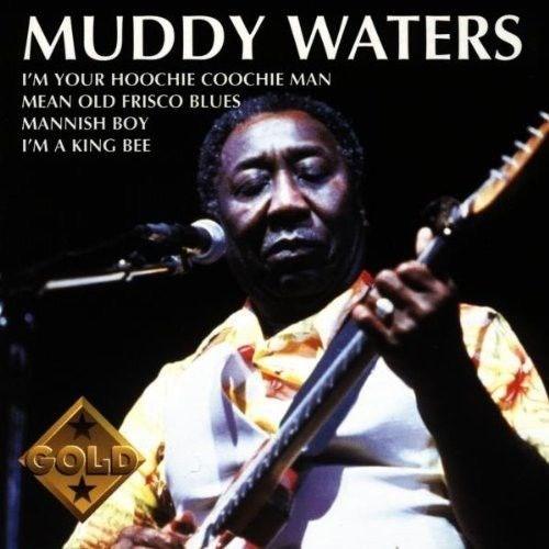 WATERS MUDDY – MUDDY WATERS