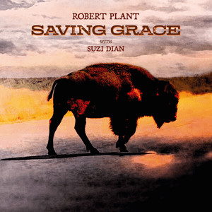 PLANT ROBERT – SAVING GRACE CD