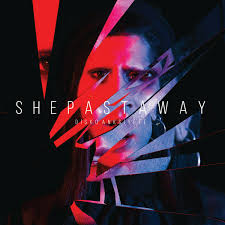 SHE PAST AWAY – DISCO ANKSIYETE LP