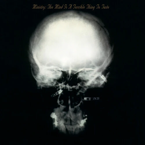 MINISTRY – MIND IS A TERRIBLE THING TO TASTE LP2