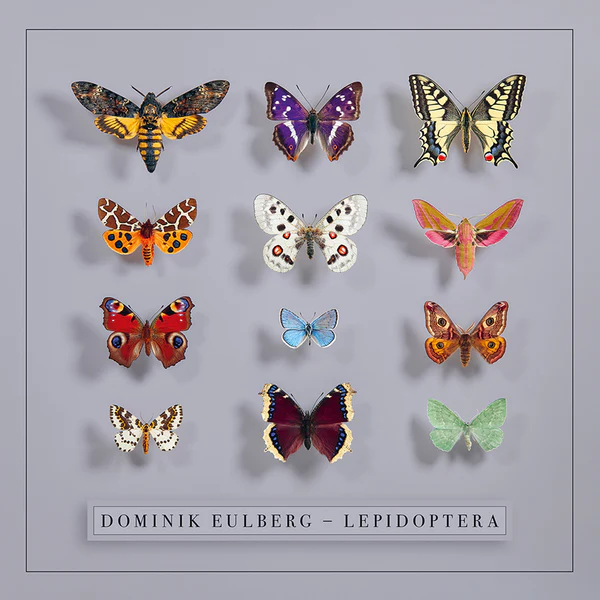 EULBER DOMINIK – LEPIDOPTERA LP2