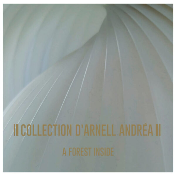 COLLECTION D’ARNELL ANDREA – A FOREST INSIDE LP