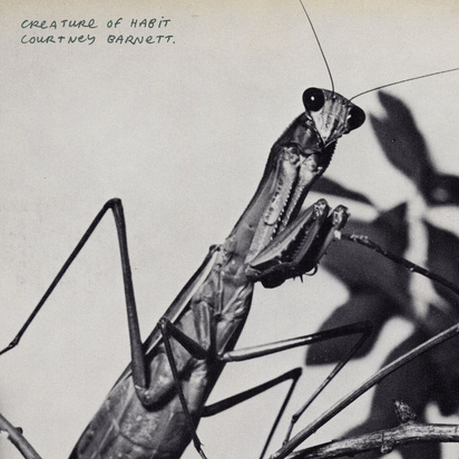 BARNETT COURTNEY – CREATURE OF HABBIT caramel vinyl LP