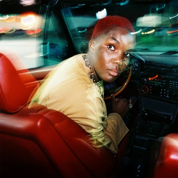PARKS ARLO – AMBIGOUS DESIRE LP