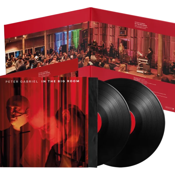 GABRIEL PETER – IN THE BIG ROOM LP2