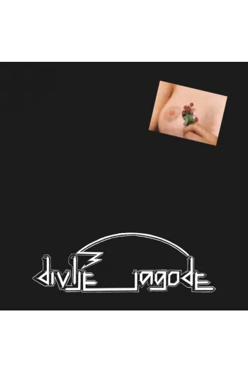 DIVLJE JAGODE – DIVLJE JAGODE LP