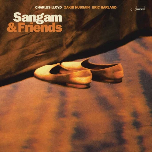 LLOYD CHARLES – SANGAM & FRIENDS LP