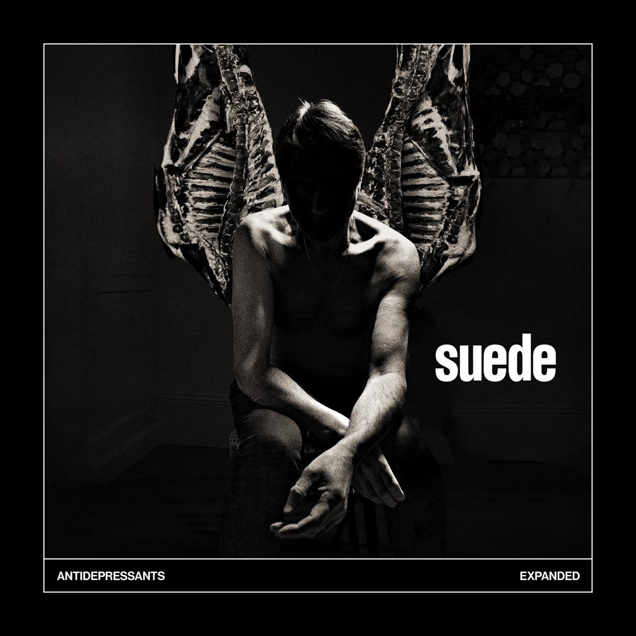 SUEDE - ANTIDEPRESSANTS CD3