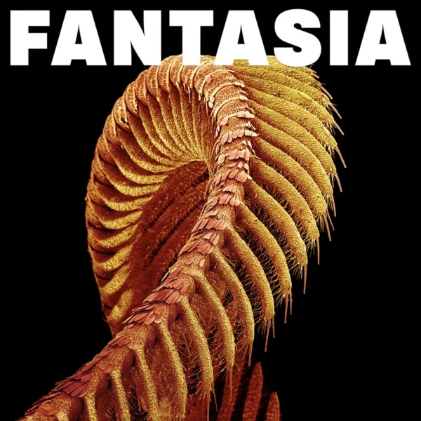 SLIFT – FANTASIA LP