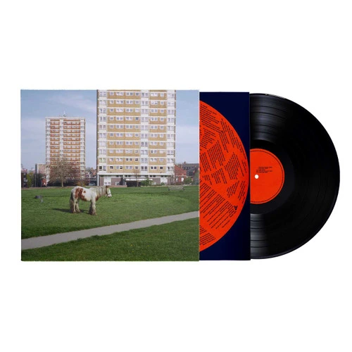 WESTSIDE COWBOY – IT GOES ON LP