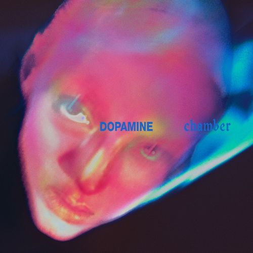 FOUNTAINES D.C. – DOPAMINE CHAMBER LP