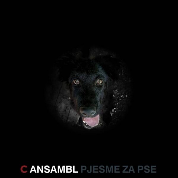 C ANSAMBL – PJESME ZA PSE LP