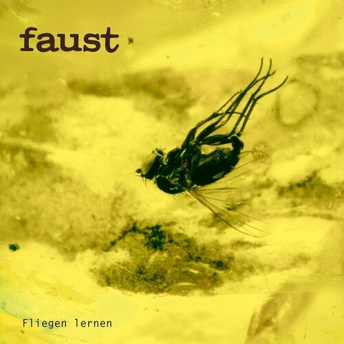 FAUST – FLIEGEN LERNEN clear vinyl